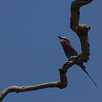 2013-09-25 12-06-43