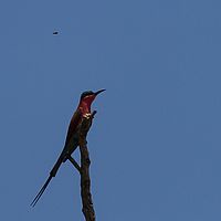 2013-09-25 12-07-50
