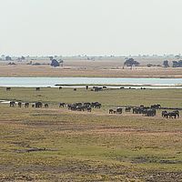 2013-09-25 13-38-30 pano