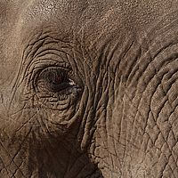 2013-09-27 15-12-56