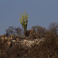 2013-09-28 15-09-13
