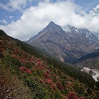 2013-05-01 12-57-17