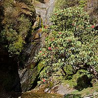2013-04-29 08-10-38