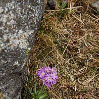 2013-05-02 12-48-58