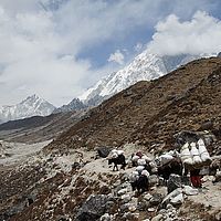 2013-05-04 12-15-55