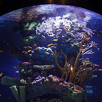 2013-02-28 10-36-21