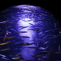 2013-02-28 10-47-28