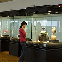 2013-02-21 13-51-10