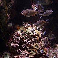 2013-02-28 10-56-59