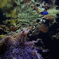 2013-02-28 11-40-24