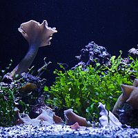 2013-02-28 11-44-31