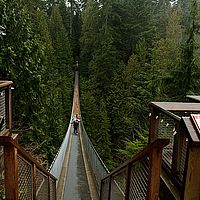 2013-02-28 14-33-52
