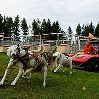 2012-09-06 07-42-38
