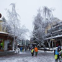 2013-02-25 08-31-41