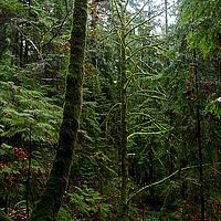 2013-02-28 15-05-28-3