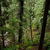 2013-02-28 15-12-39-3