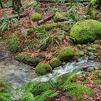 2013-02-28 15-16-44 hdr
