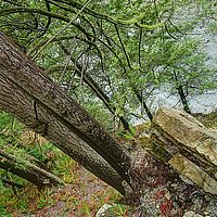 2013-02-28 15-33-28 hdr