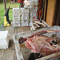 2012-09-11 10-04-13