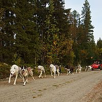 2012-09-13 07-55-02-1