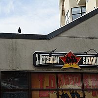 2013-02-27 09-13-31-3