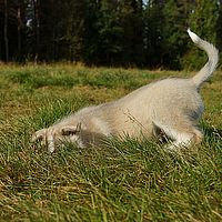 2012-09-08 11-01-02