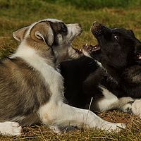 2012-09-08 11-12-06-5