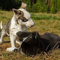 2012-09-08 11-15-48-3