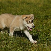 2012-09-09 11-35-01