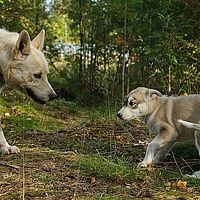 2012-09-09 12-20-39