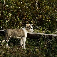 2012-09-09 17-13-18