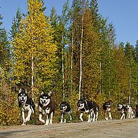 2012-09-13 09-27-49