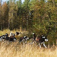 2012-09-13 09-34-47-2