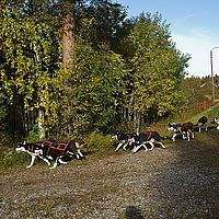 2012-09-13 09-49-48