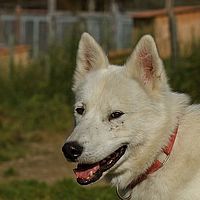 2012-09-08 11-41-17