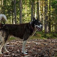 2012-09-08 12-13-54