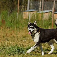 2012-09-08 13-56-54