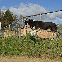 2012-09-08 14-06-01