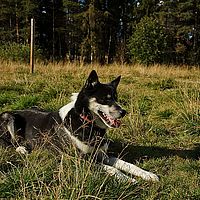 2012-09-08 15-10-44