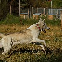 2012-09-08 15-22-24