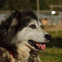2012-09-08 15-34-08