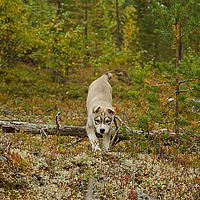 2012-09-11 15-53-50