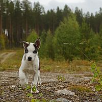 2012-09-11 15-59-12