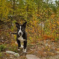 2012-09-11 16-10-31-2