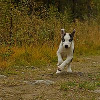 2012-09-11 16-23-17-3