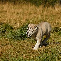 2012-09-12 11-58-40-1