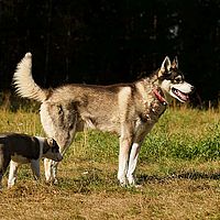 2012-09-12 12-00-09