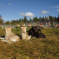2012-09-12 12-27-59