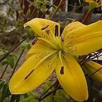 2012-09-07 08-17-28