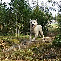 2012-09-09 12-16-07